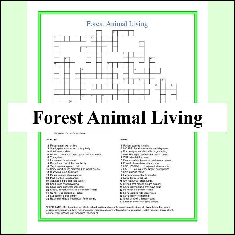 Forest Animal Living