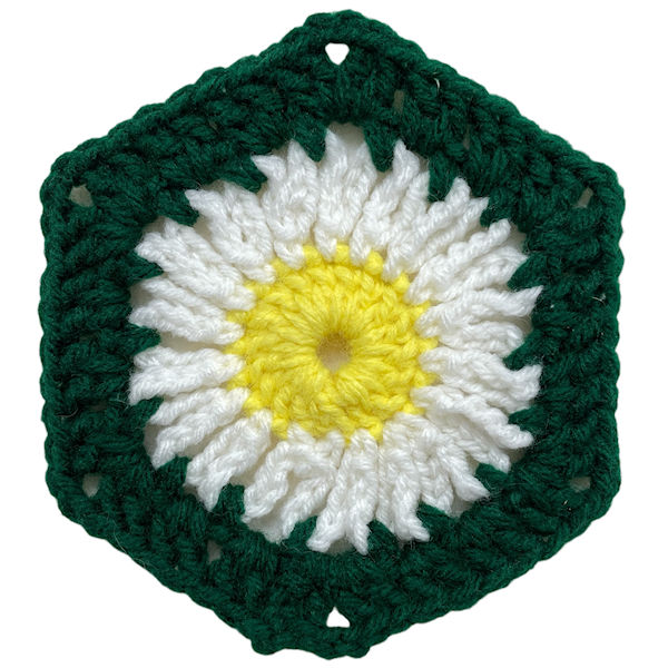 Wild Daisy Hexagon Motif