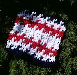 Independence Dishcloth