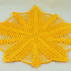 Shell Net Star Doily