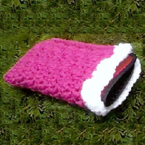 Eyeglass Case Cover