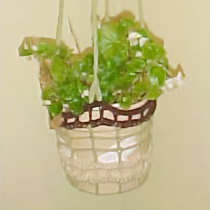 Open Windows Plant Hanger