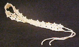 String of Shells Head Band