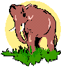 Animals-elephant-brown.gif
