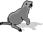 Animals-gray-seal.gif