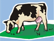 Animals-holsteinleft.gif