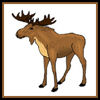 Animals-moose-forest-box.jpg