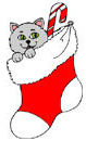 Cats-gray-stocking-christmas-kitty.jpg