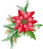 Christmas-pointsettia.jpg