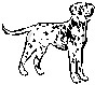 Dogs-dalmation.gif