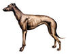 Dogs-greyhound.jpg