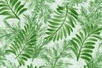 Fabric-greenferns.jpg