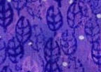 Fabric-purpleleaves.jpg