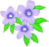 Flowers-bellflowblue.gif