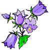 Flowers-bluebells.jpg