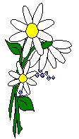 Flowers-daisywhite.gif
