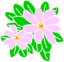 Flowers-hawaiianpinkgreenleaves.gif