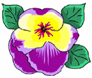 Flowers-pansypurpleyellow.gif