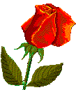 Flowers-rosesinglestem.gif