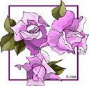 Flowers-rosespurple.jpg