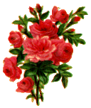Flowers-rosewildred.gif