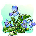 Flowers-violets.jpg