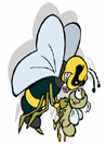 Insects-hornet.gif