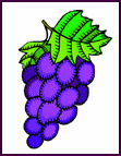 Nature-grapespurple.gif