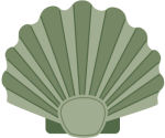 Nature-scallopshell.jpg