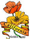 States-CA_CaliforniaPoppy.jpg