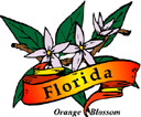 States-FL_FloridaOrangeBlossom.jpg