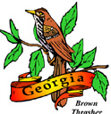 States-GA_GeorigaBrownThresher.jpg