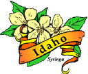 States-ID_IdahoSyringa.jpg