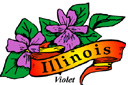 States-IL_IllinoisViolet.jpg