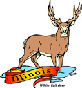 States-IL_IllinoisWhiteTailedDeer.jpg
