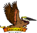 States-LA_LouisianaBrownPelican.jpg