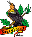 States-MD_MarylandOriole.jpg