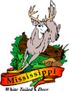 States-MS_MississippiWhiteTailedDeer.jpg