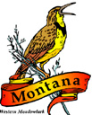 States-MT_MontanaWesternMeadowlark.jpg
