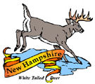 States-NH_NewHampshireWhiteTailDeer.jpg