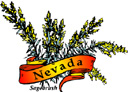 States-NV_NevadaSagebrush.jpg