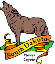 States-SD_SouthDakotaFlowerCoyote.jpg