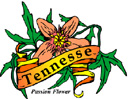 States-TN_TennesseePassionFlower.jpg