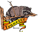 States-TN_TennesseeRacoon.jpg