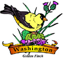 States-WA_WashintonGoldenFinch.jpg