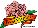 States-WV_WestVirginiaRhodadendron.jpg