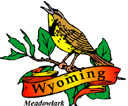 States-WY_WyomingMeadowlark.jpg