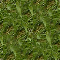 Textures-Grass.jpg