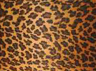 Textures-cheetahlarge.jpg