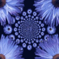 Textures-daisyblue.jpg